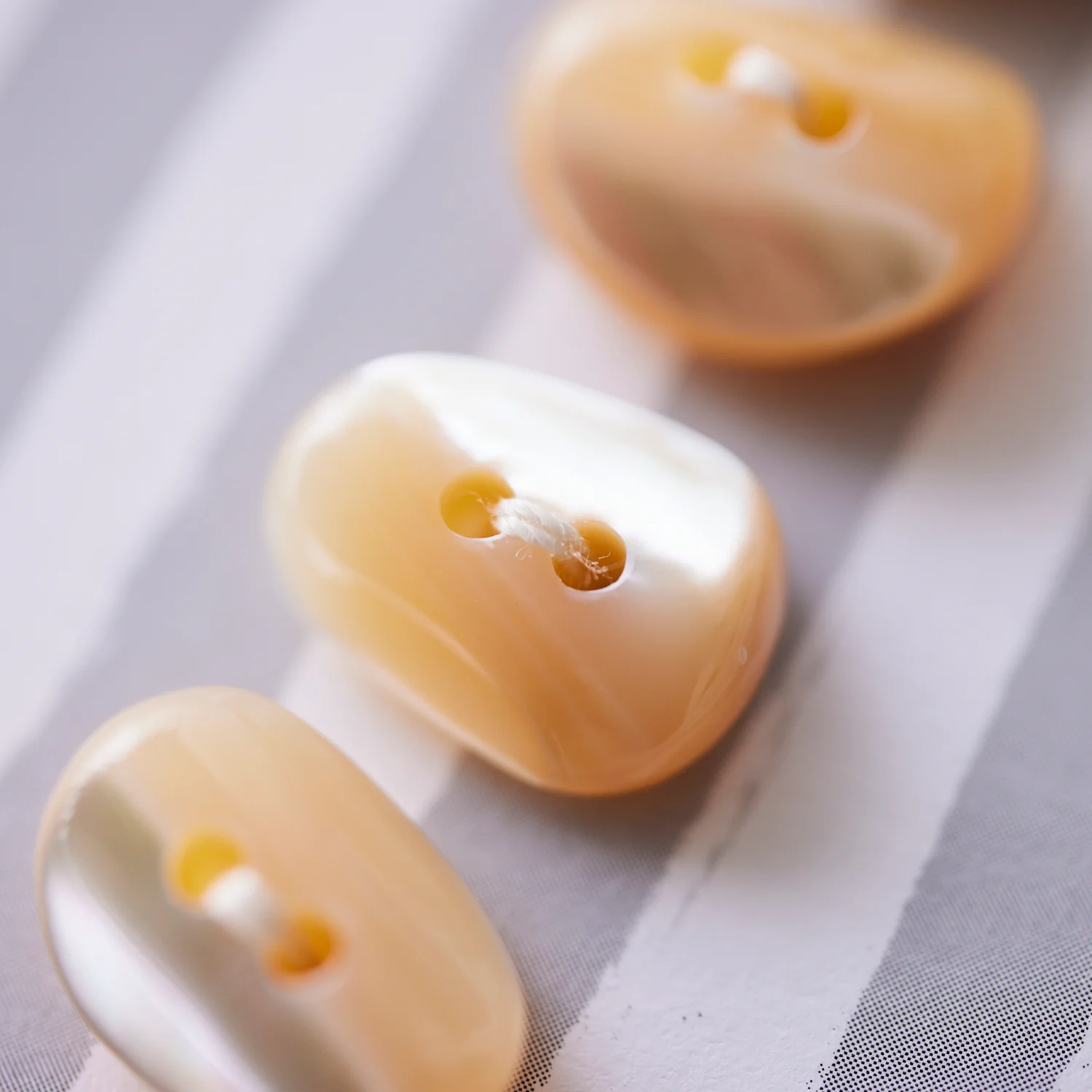 4nov Shell Buttons [Coffee Beans Trocas Shell / 15mm] LPS-070 - Image 4