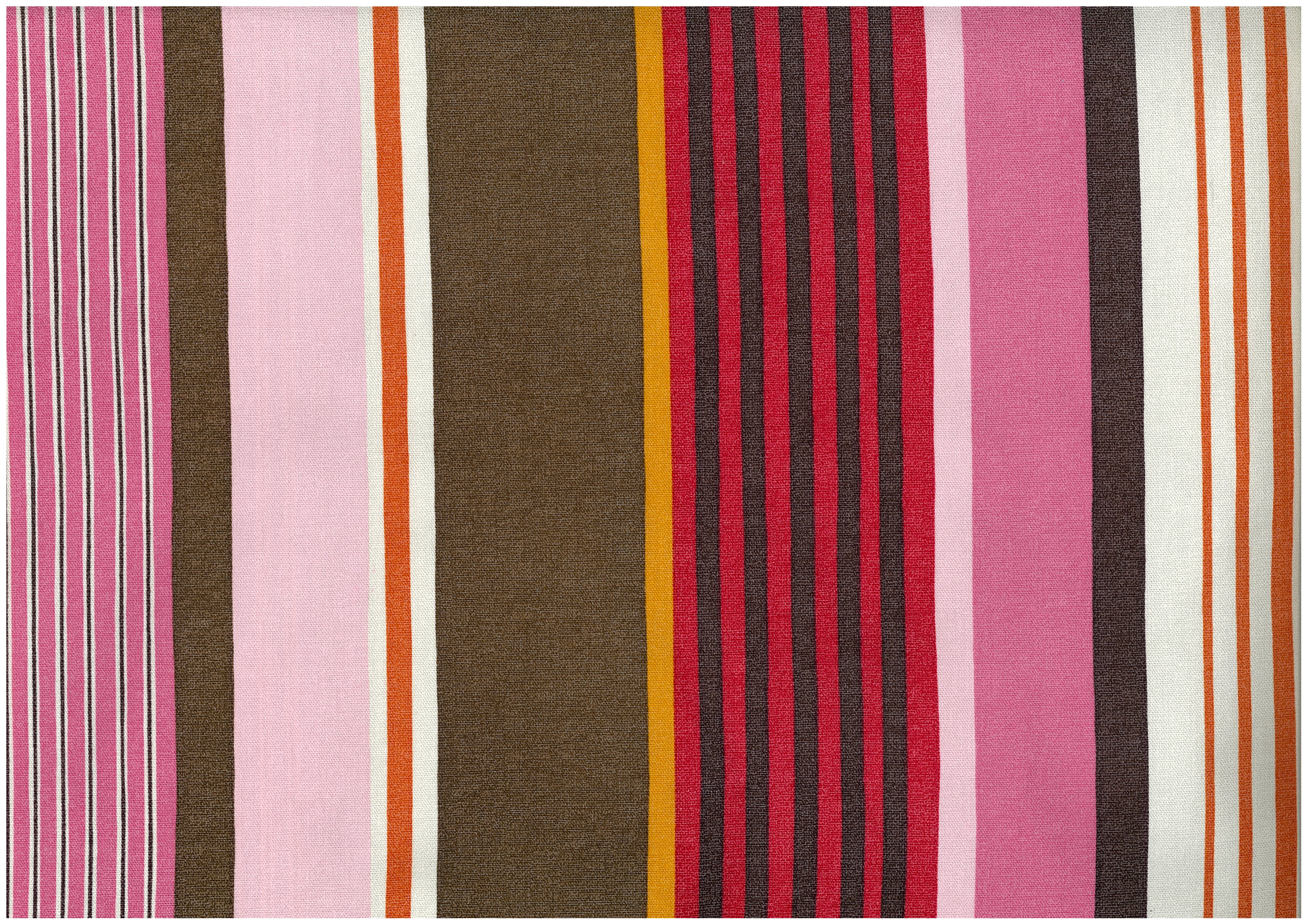 Dynamic Stripes Cotton Oxford - Pink Multi
