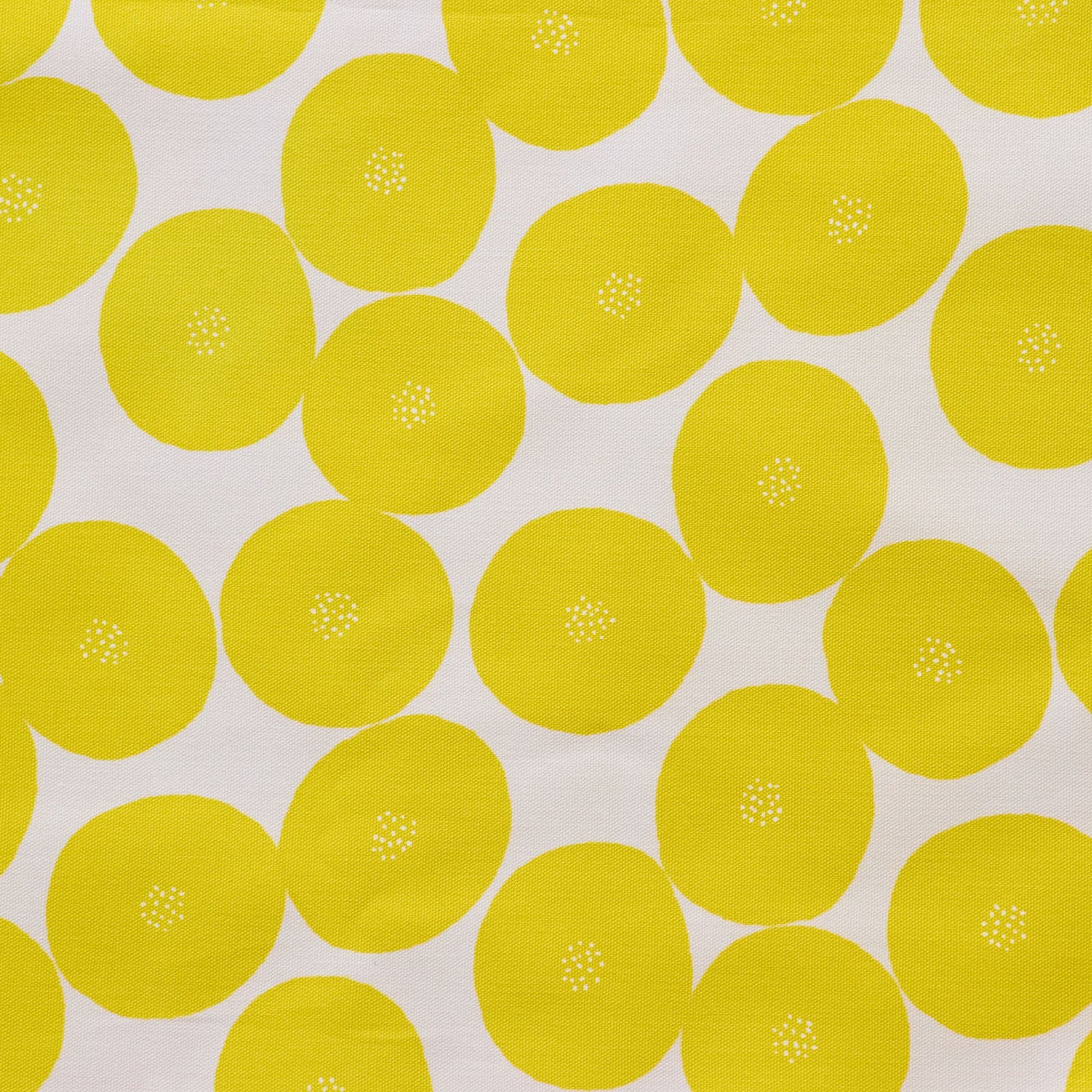MUDDY WORKS Anpan Organic Cotton Oxford - White x Yellow EKX-1160-1
